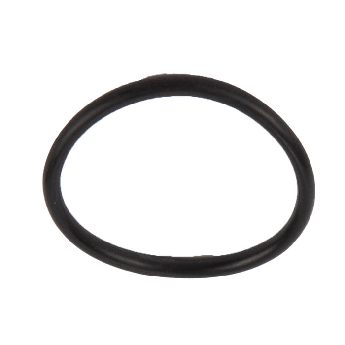 O-ring, DSI 310-021