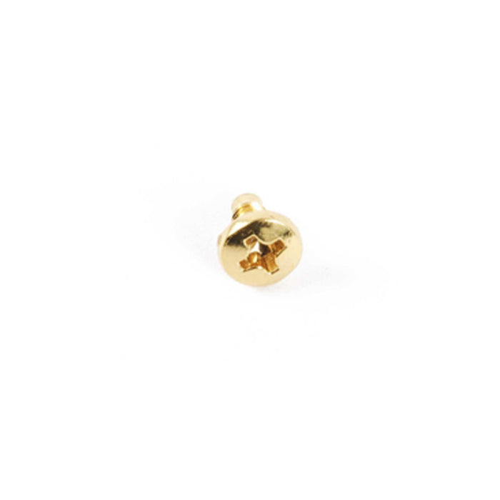 Screw (530-098)
