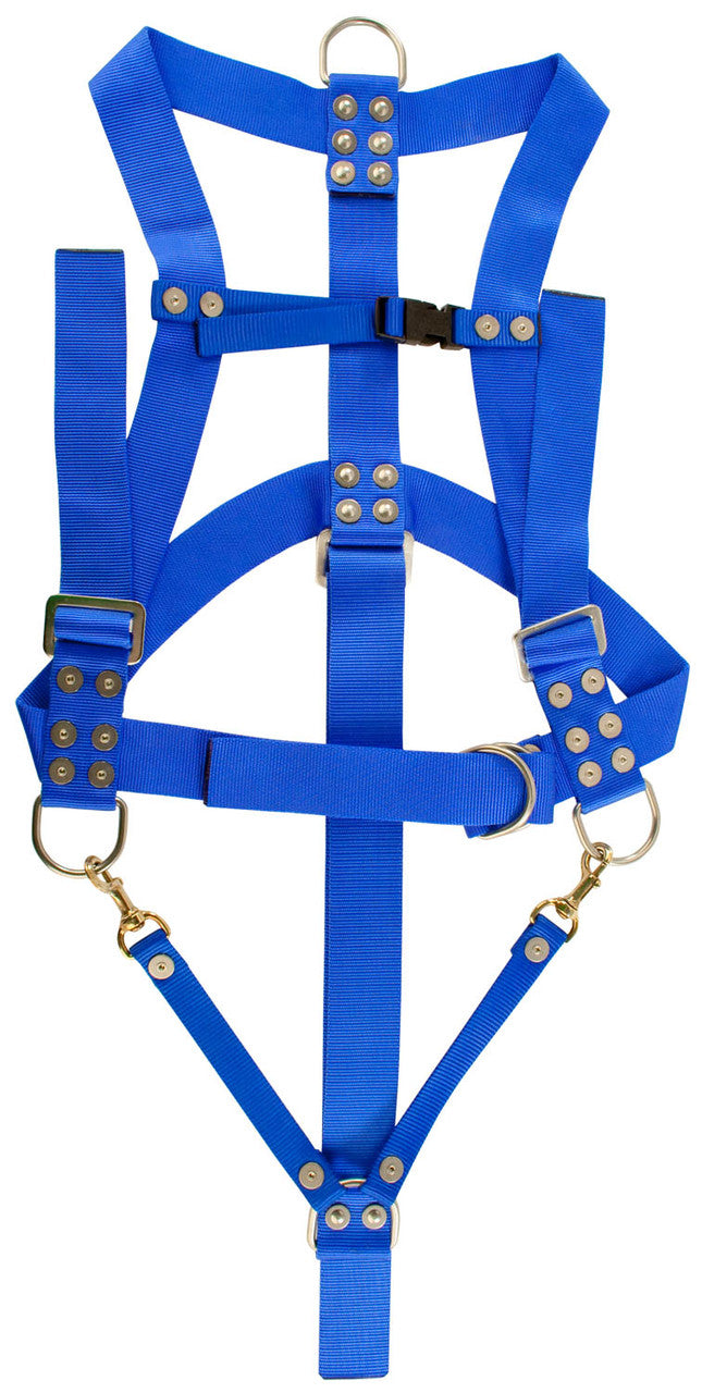 Diver's Safety Harness (900-070) — DECA Diving